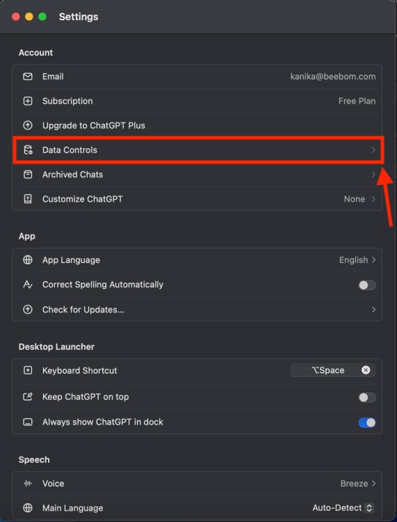 How to Get and Use ChatGPT macOS App 19 Data Controls in ChatGPT Settings